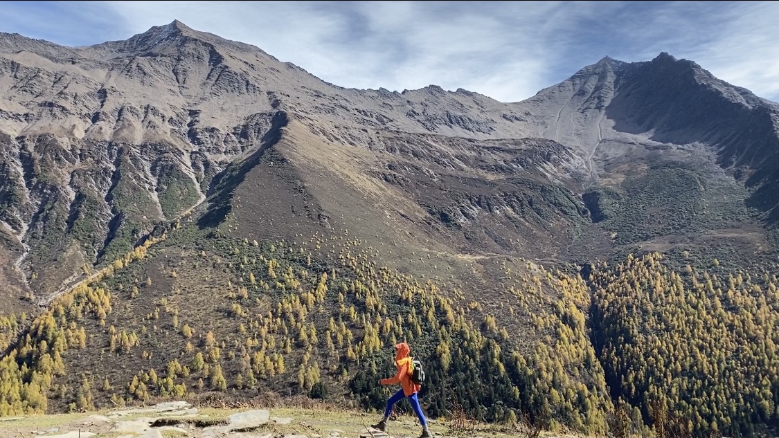 耒水水质已全线恢复正常